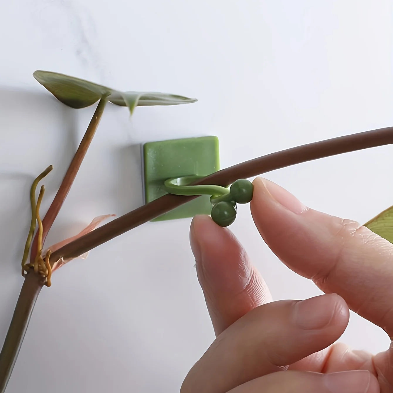 10/20pcs-Plant Fixator Wall Mounted Universal Hook Used for Hanging Baskets Climbing Vines Plant Home Garden Accessories